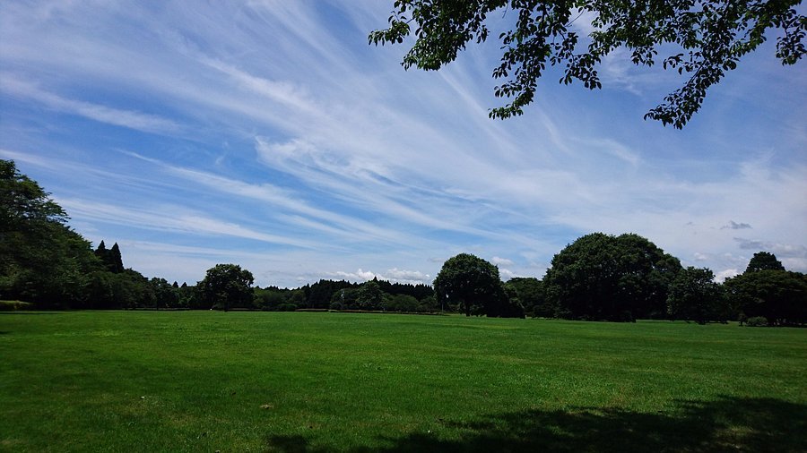 🌳 쇼와의 숲(쇼와노모리) 이미지 1
